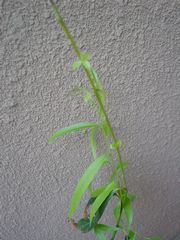 20060817_2