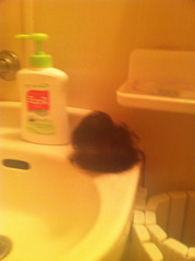 shampoo
