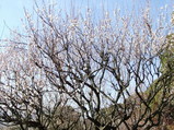 �粬���Ҥ����ӡ�����2��