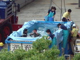水槽の中のダイバーさん