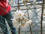 �餭�Ϥ᤿���β֣��ʺ�ƣ�ӡ�