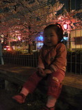 2012年4月10日玉串川の夜桜見物のユーカちん