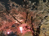 2012年4月10日玉串川の夜桜
