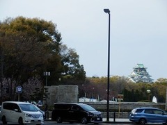 20160327大阪城入り口の桜