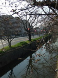 �餭�Ϥ᤿�̶���褤�κ�3