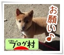 DSCN0056