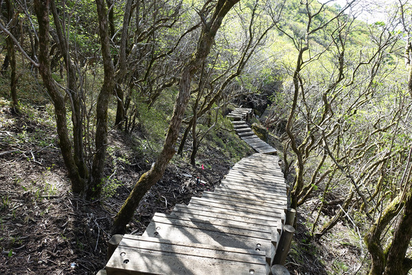 resize0080