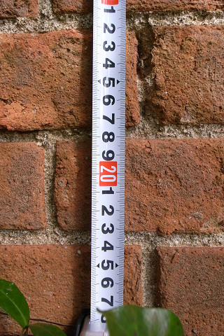 159e542f.jpg