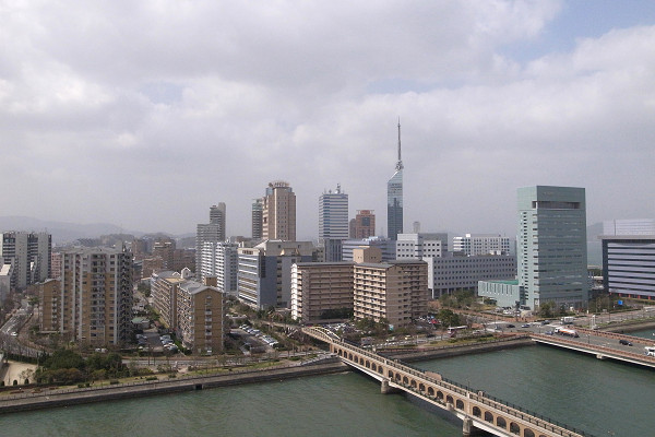 kousa