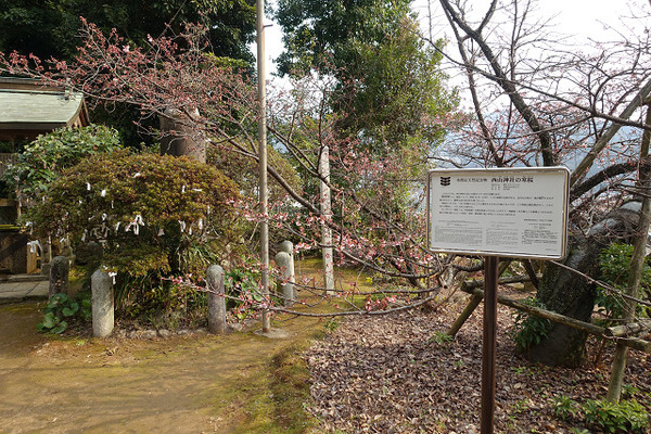 西山2