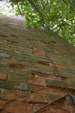 40f23675.jpg