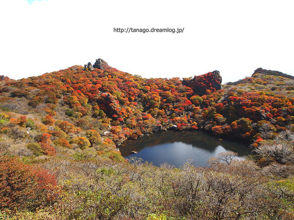 大船山紅葉4