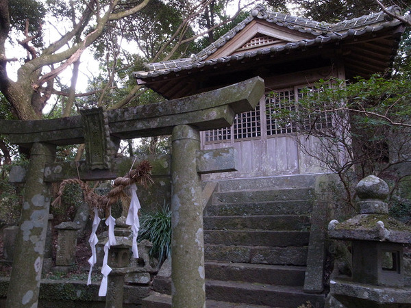 resize0772