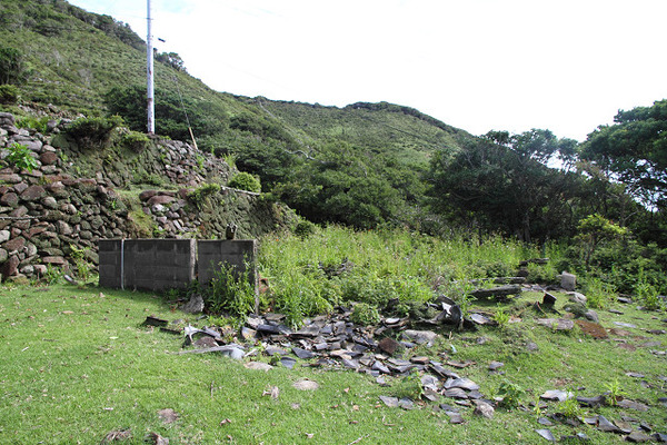 resize0099