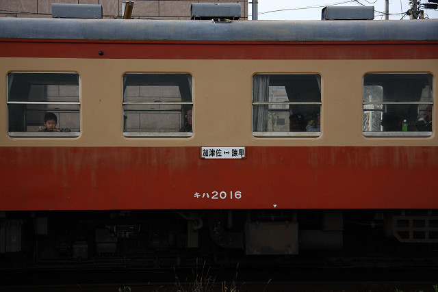 749a5e37.jpg