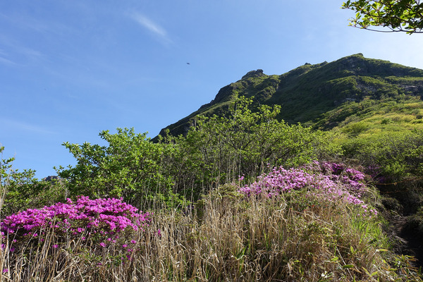 resize0066