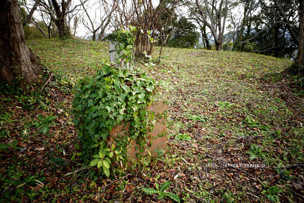 神ノ島高砲台3