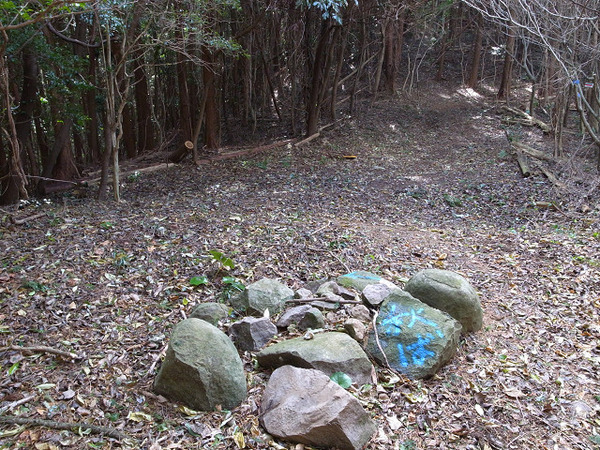 resize0759