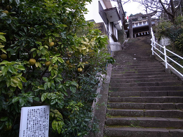 resize0741