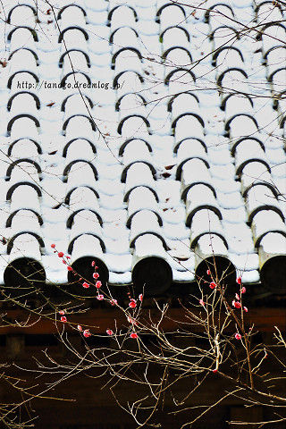富貴寺2