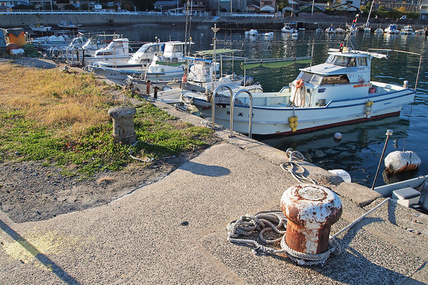 resize0282