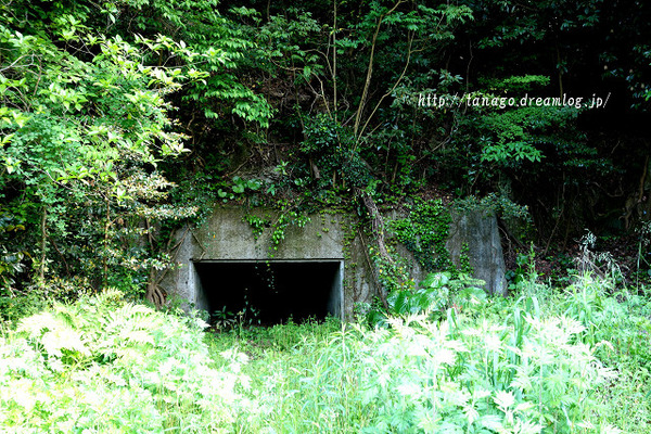 大神回天基地7
