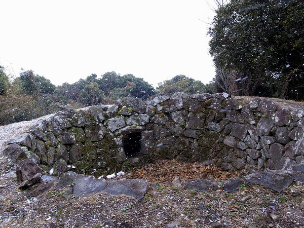 resize0778