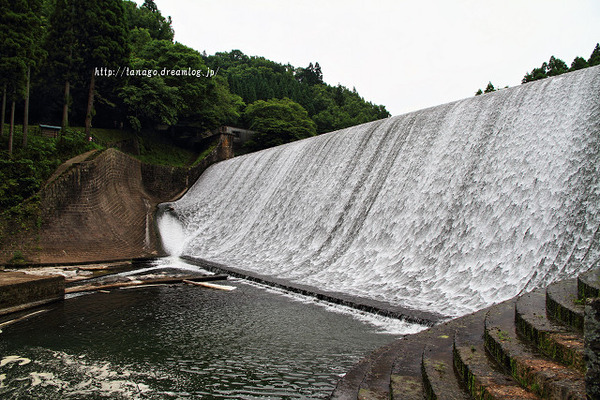 白水堰堤6