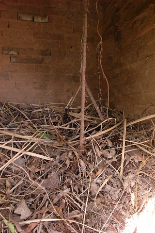 f36cd525.jpg