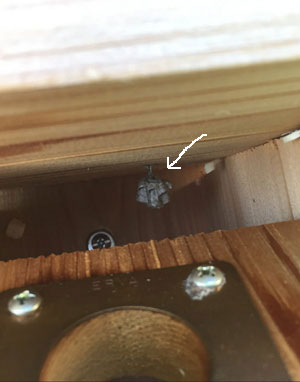 2016-07-23-wasps5