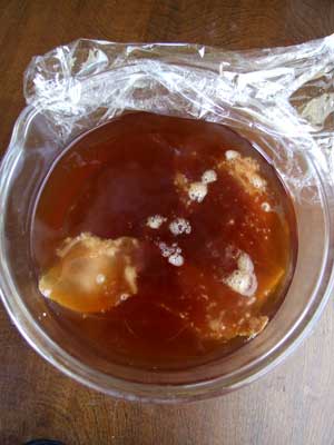 2014-03-09-kouchakinoko6