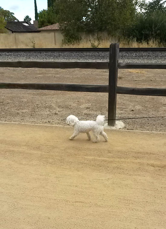 2017-09-20-walk2