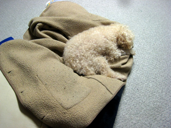 2017-09-07-blanket2