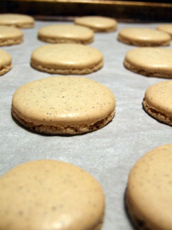 2013-01-21-baked1