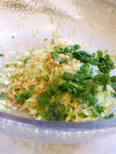2016-07-23-coleslaw2