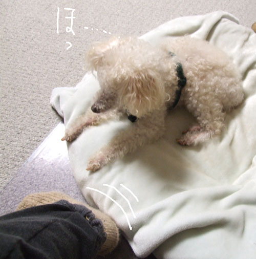 2018-03-20-chibbi1