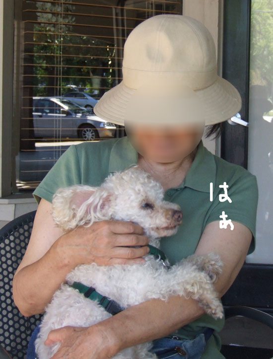 2017-10-03-chib3