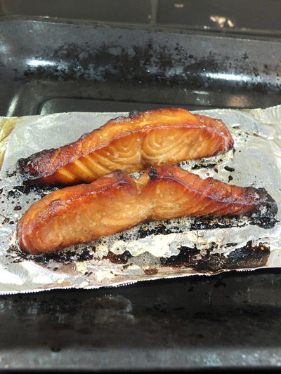 2019-02-10-salmon5