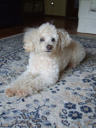 2011_04_10_portrait2