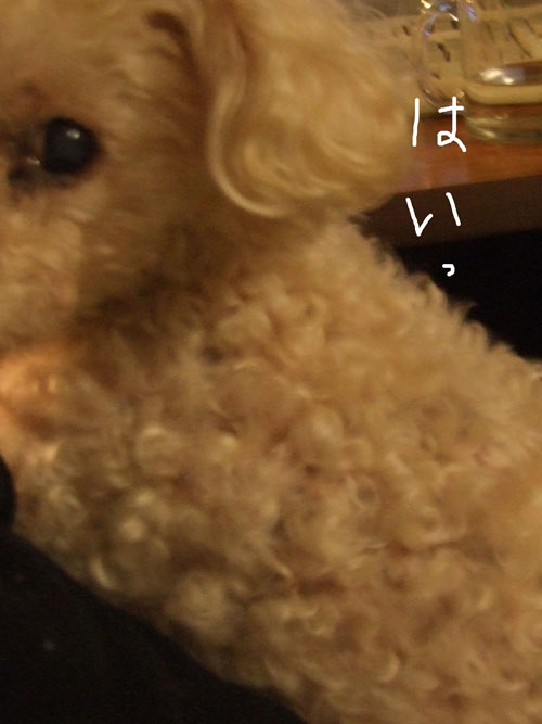 2018-06-01-chibi4