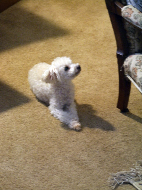 2019-01-14-party4