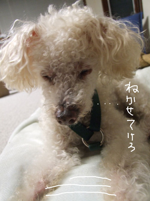 2018-03-20-chibbi3
