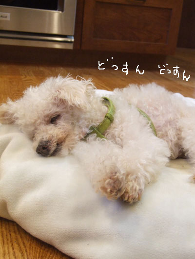 2016-06-25-chibi3