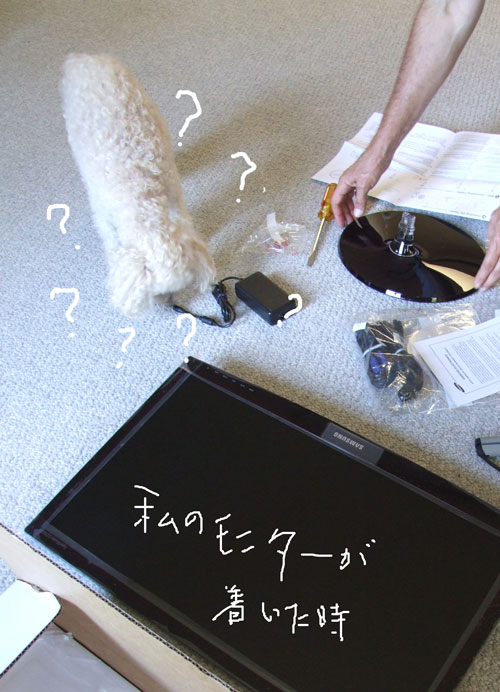 2018-02-01-chibi4
