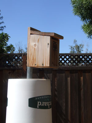 2016-07-23-wasps2