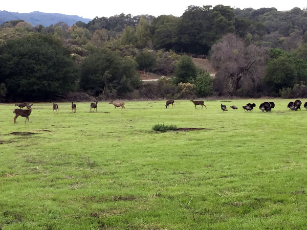 2018-12-04-rancho1