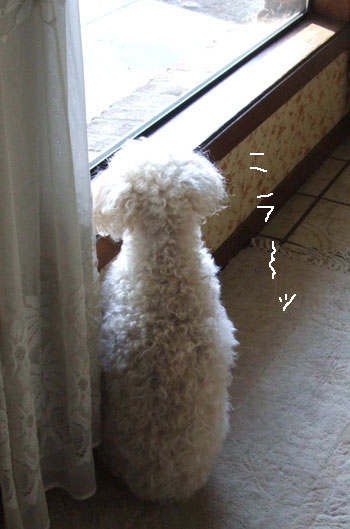2012_04_26-watch