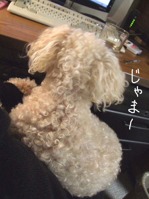2018-06-01-chib2
