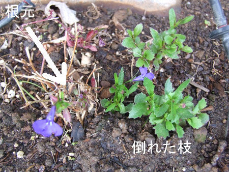 2012_04_03-new