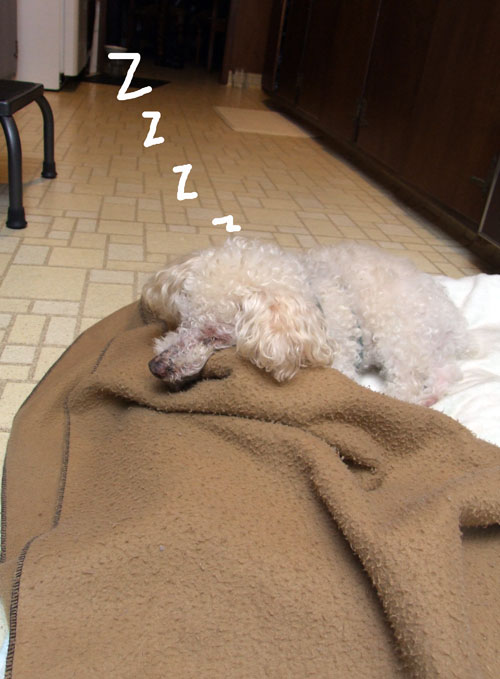 2018-03-16-chibi1
